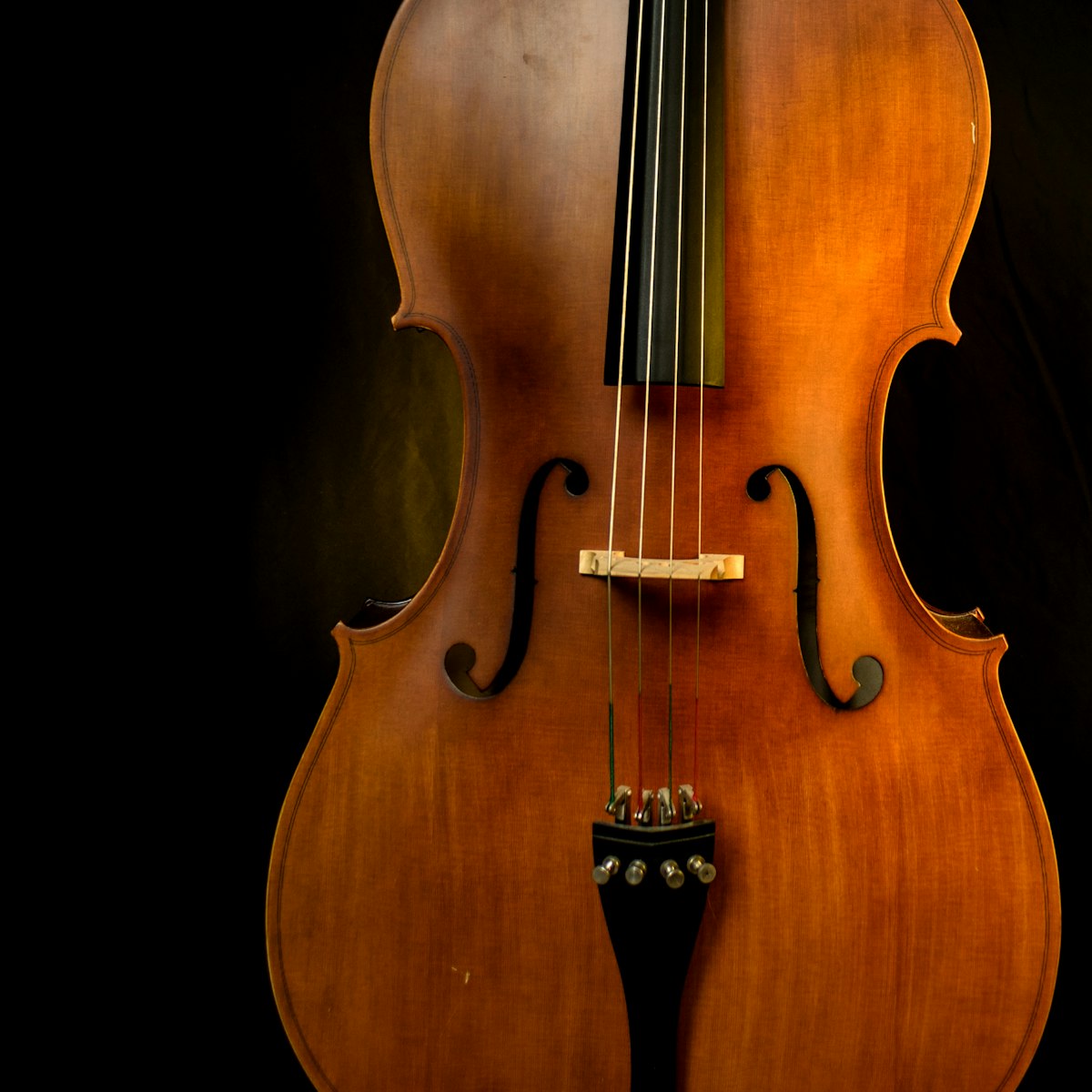 Corso di Violino